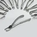 pyrax-polodent-dental-extraction-forceps-kit-set-of-12-pcs-stainless-steel-125x125 (4).webp