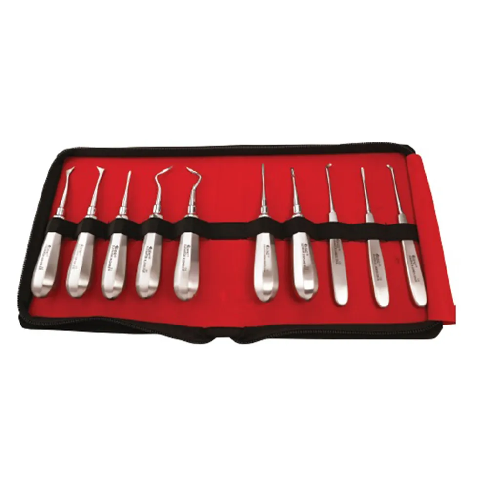 GDC Root Elevator With Warwick James In Pouch